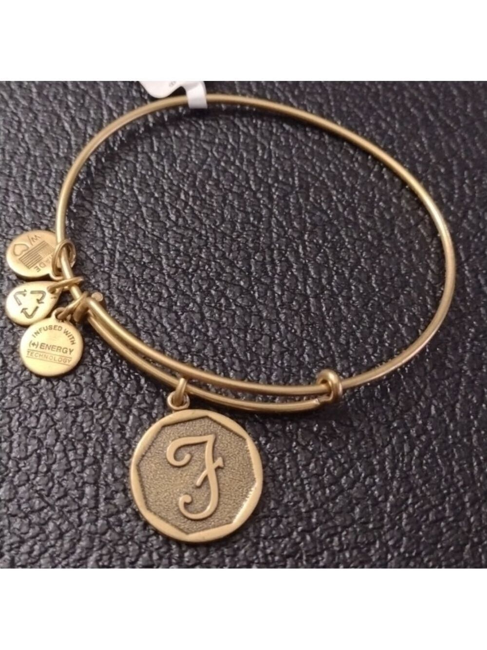 Alex and Ani Letter F Charm Bracelet Expandable Bangle Initial F Charm NOS